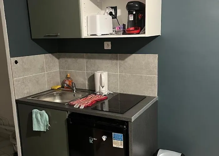 Studio Dans Maison 아파트 *